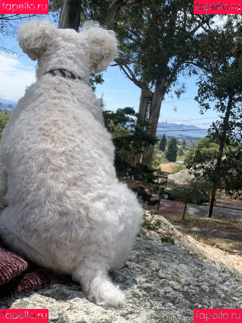 Soyacide Onlyfans Photo Gallery 