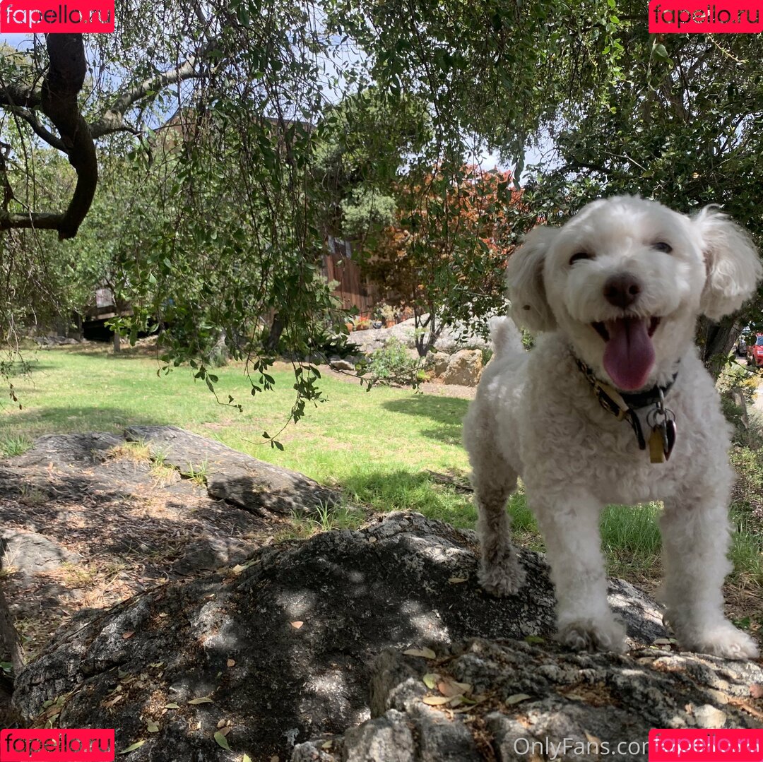 Soyacide Onlyfans Photo Gallery 