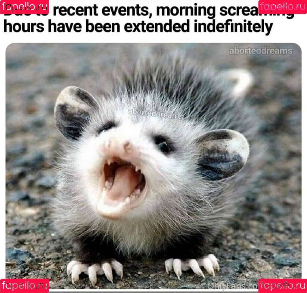 Soyacide Onlyfans Photo Gallery 