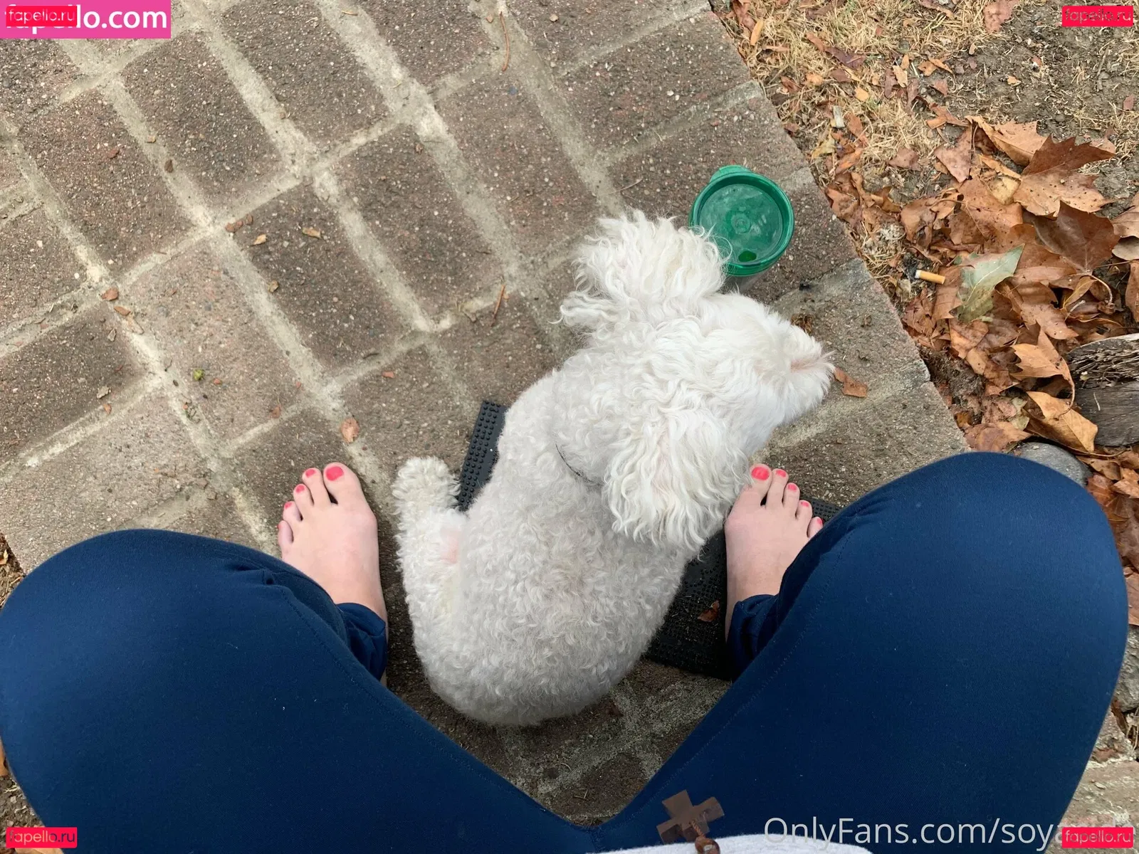 Soyacide Onlyfans Photo Gallery 