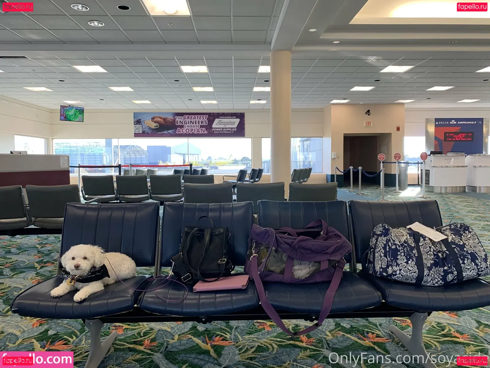 Soyacide Onlyfans Photo Gallery 