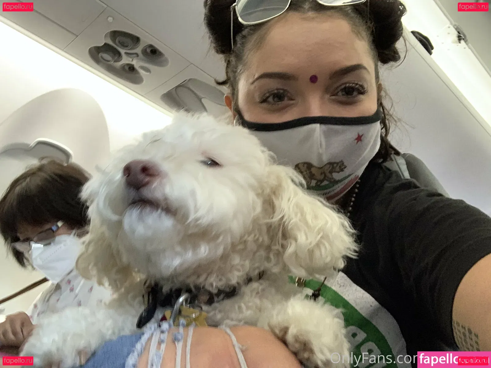 Soyacide Onlyfans Photo Gallery 