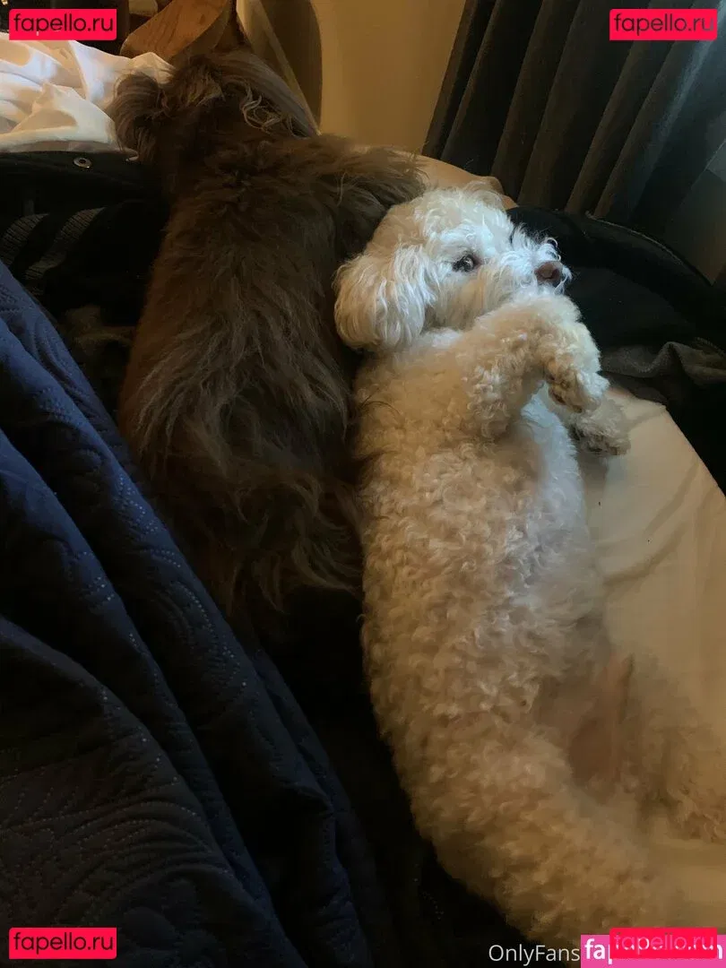 Soyacide Onlyfans Photo Gallery 