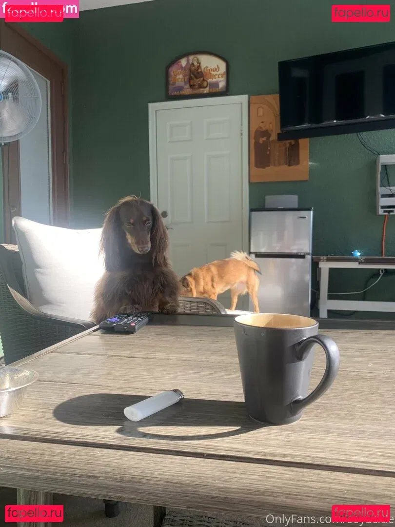 Soyacide Onlyfans Photo Gallery 