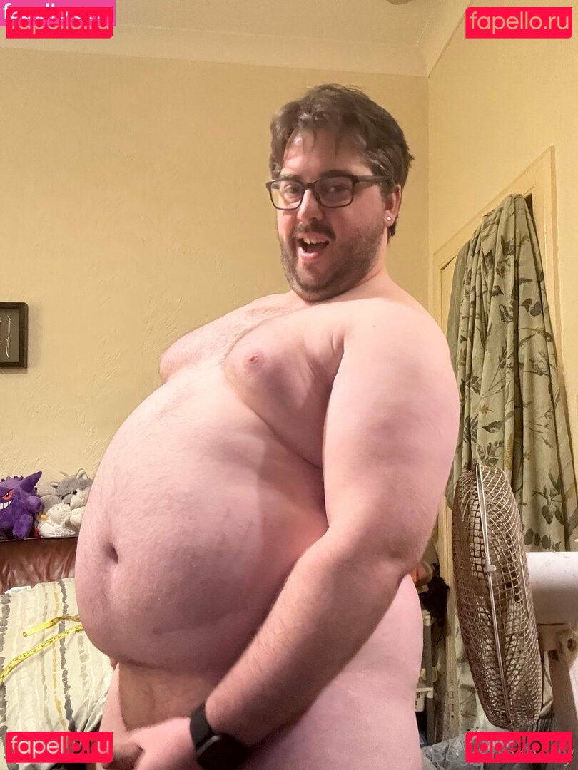 begginerbelly Nude Onlyfans Photo 27