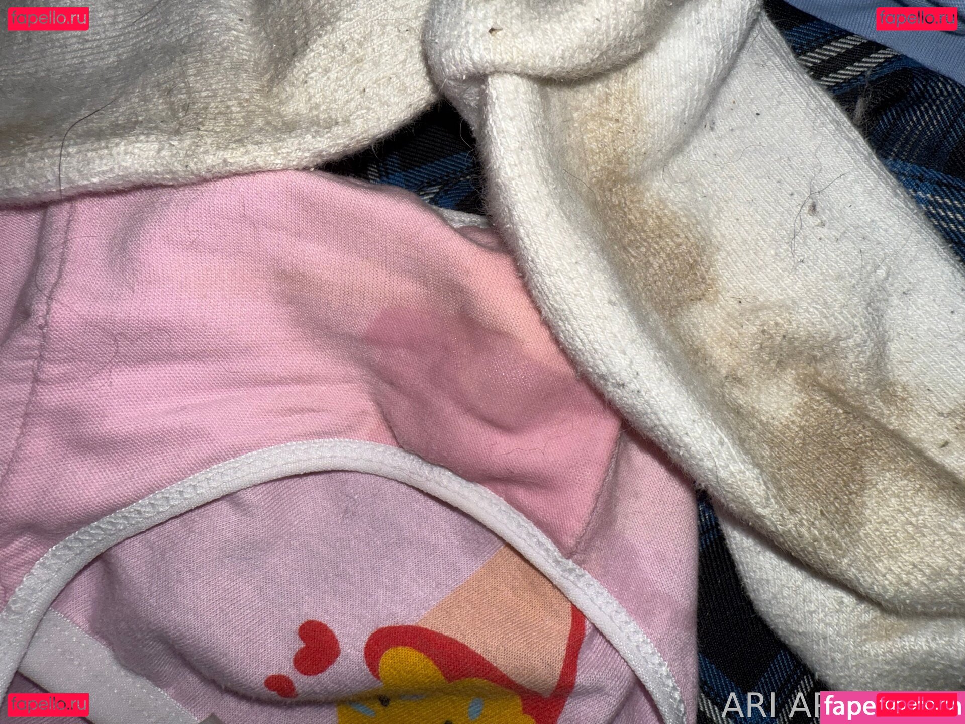 Ari-apricots Nude Onlyfans Photo 26