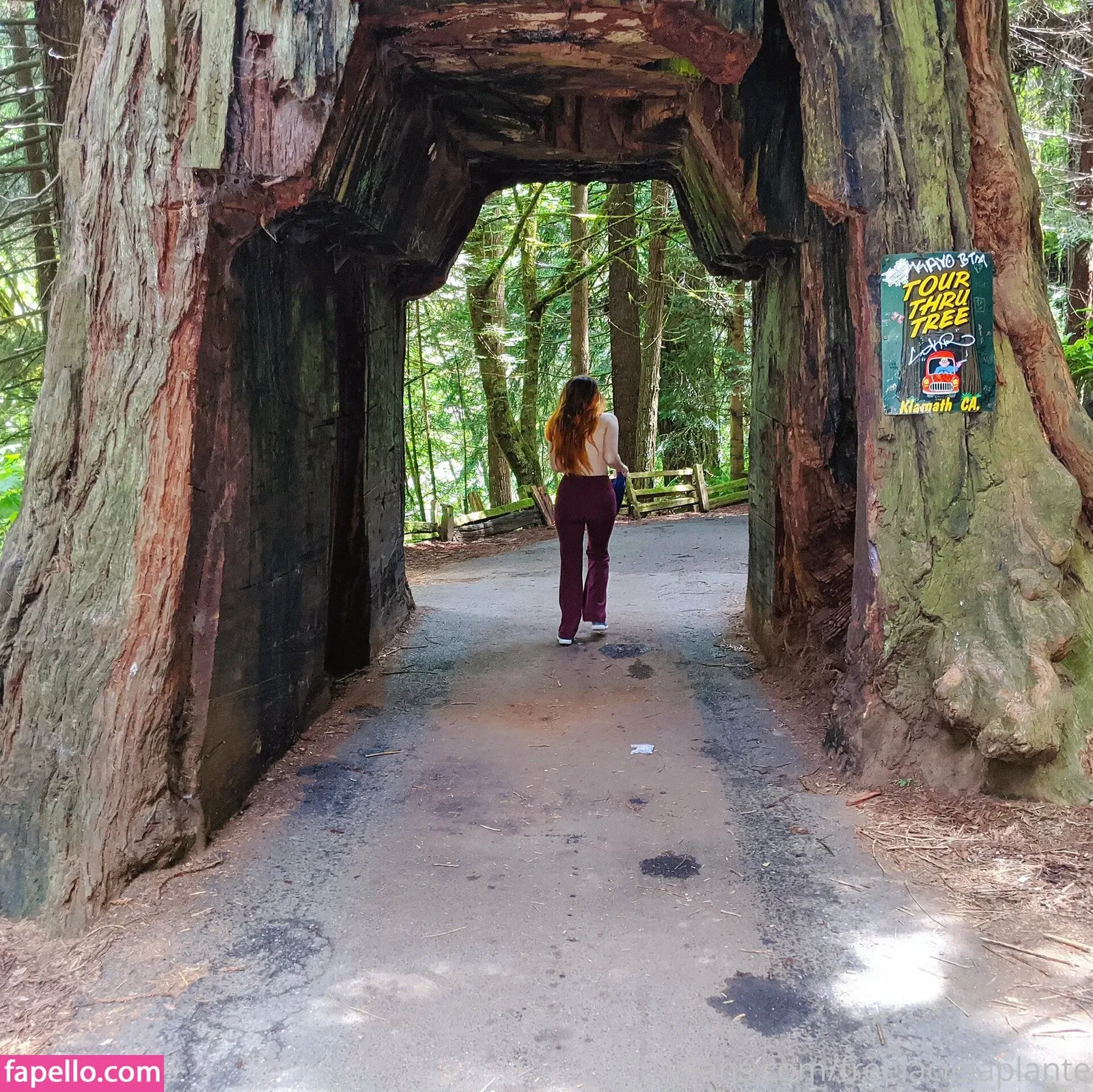 freelacielaplante Onlyfans Photo Gallery 