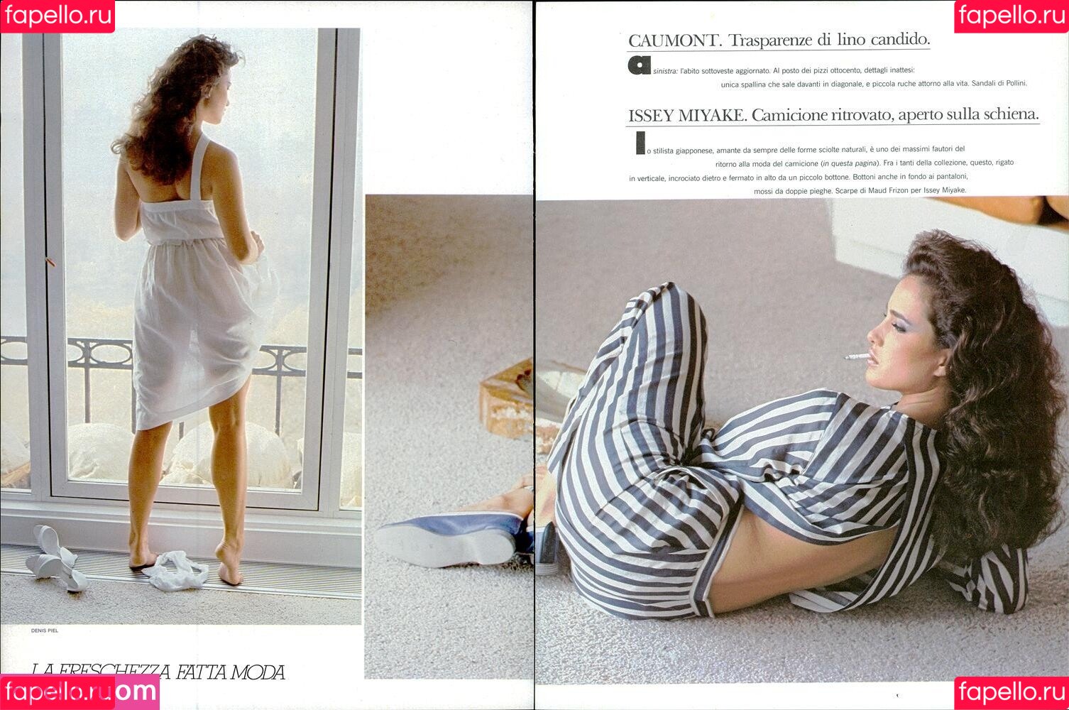 Andie MacDowell Onlyfans Photo Gallery 