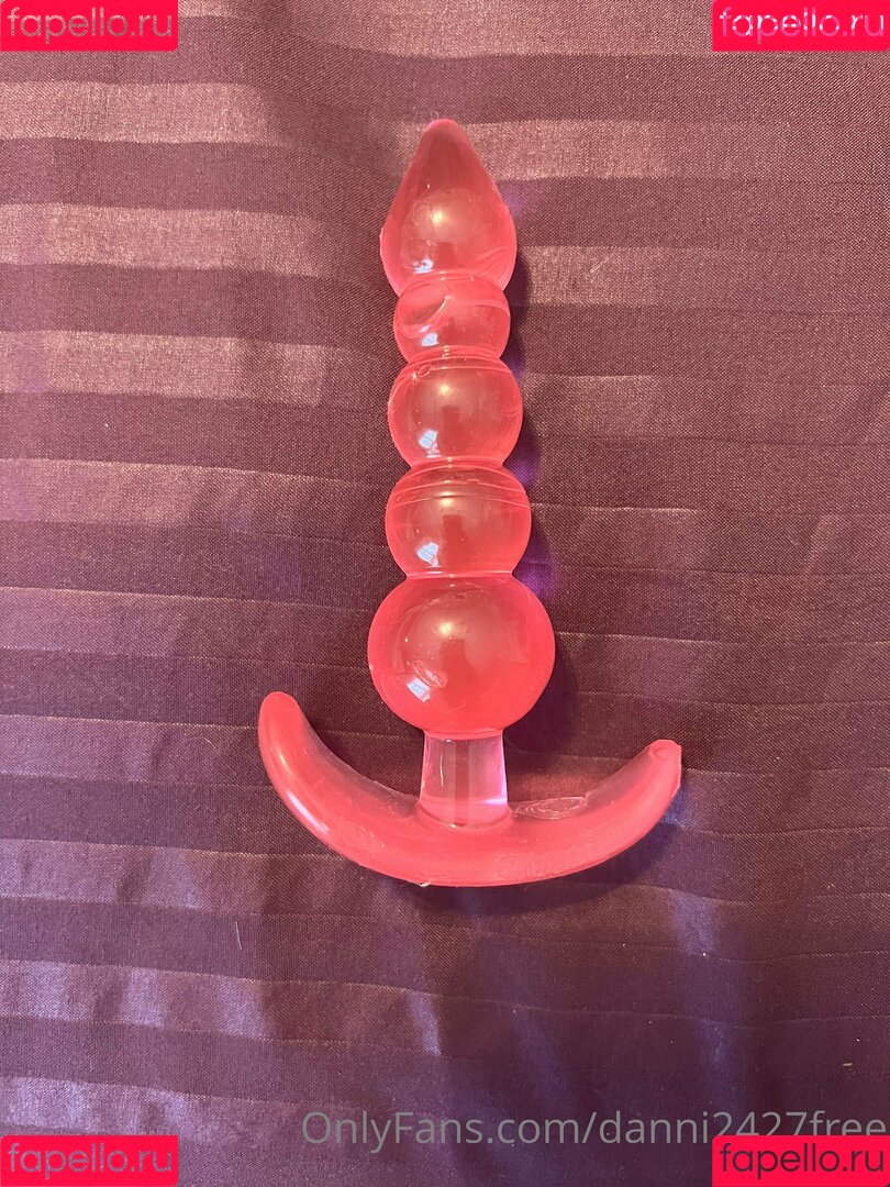 danni2427free Onlyfans Photo Gallery 