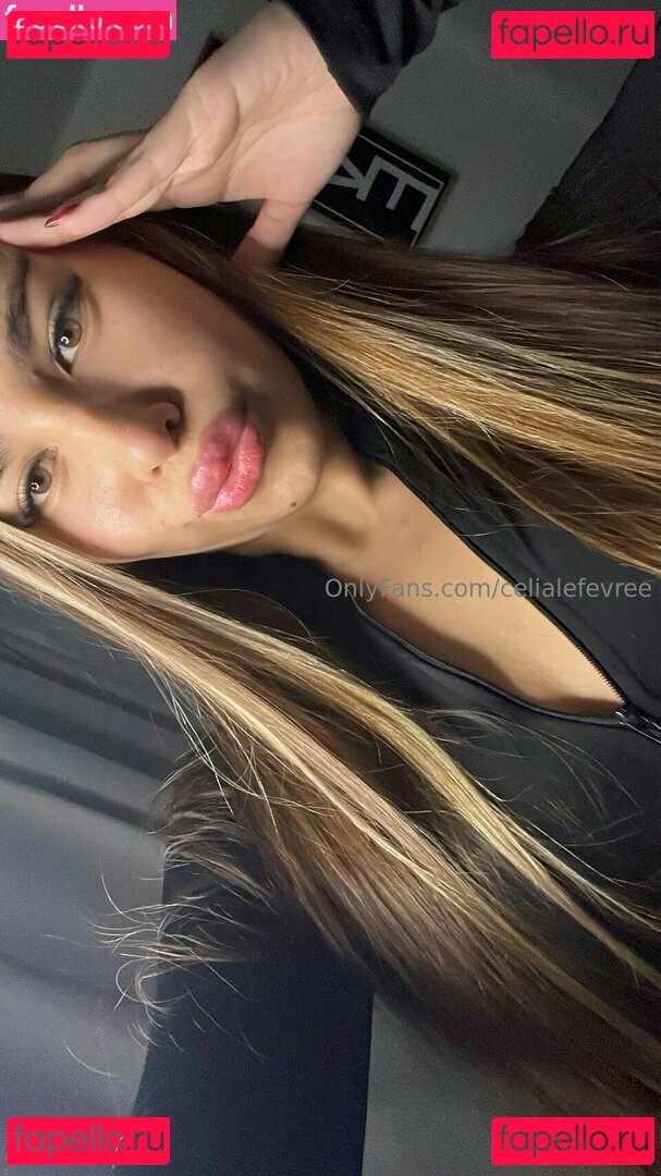zaravelvett Nude Onlyfans Photo 27