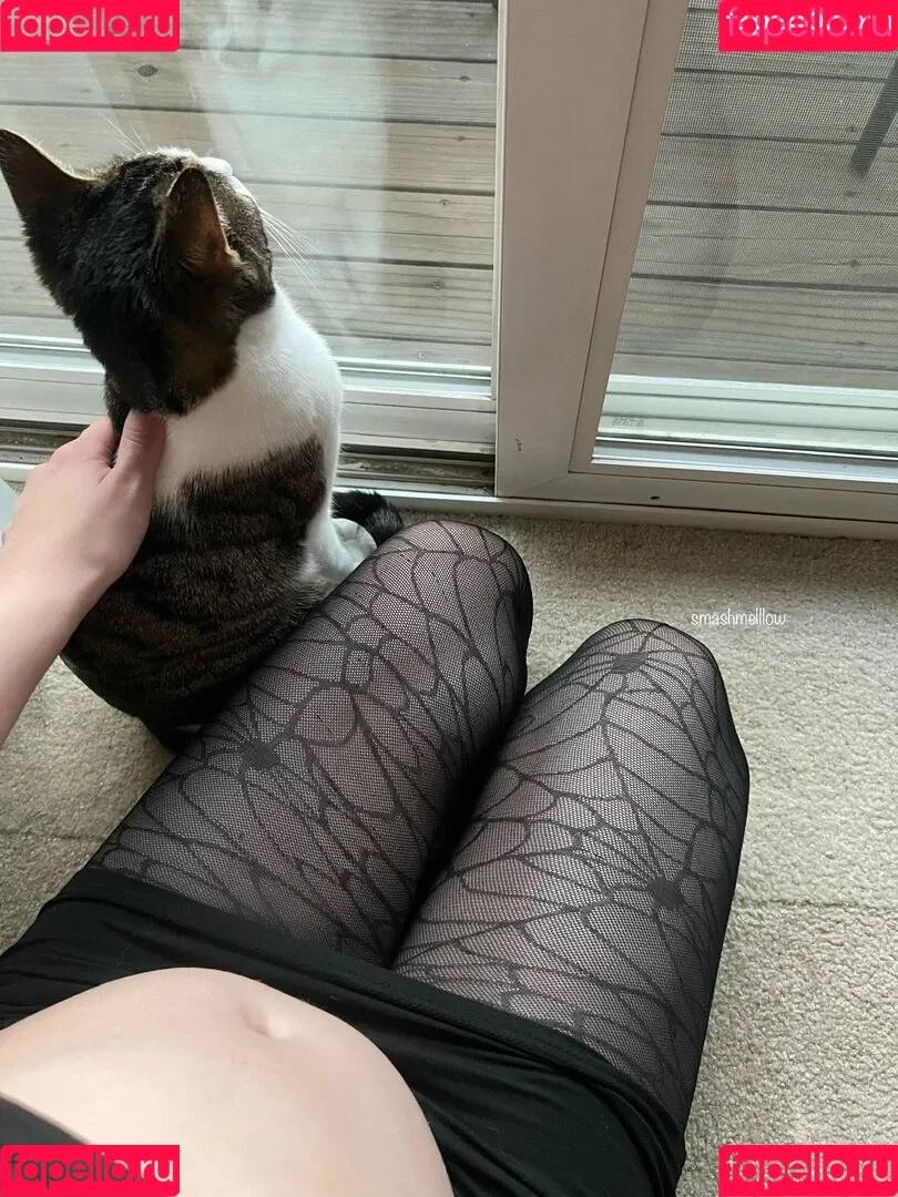 smashmelllow Onlyfans Photo Gallery 
