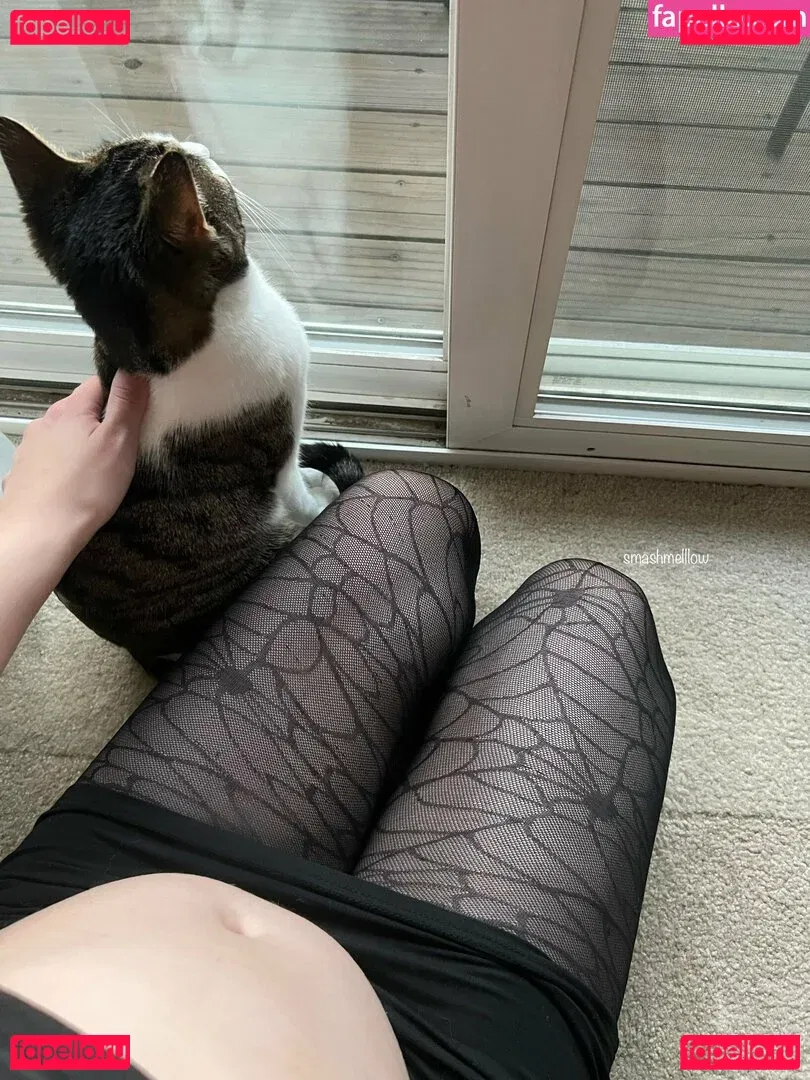 smashmelllow Onlyfans Photo Gallery 