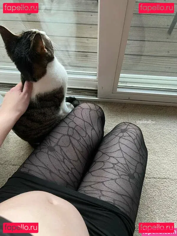 smashmelllow Onlyfans Photo Gallery 