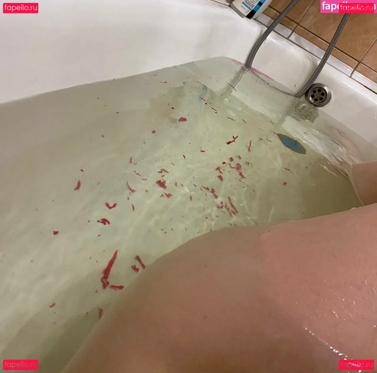 Zefirka_natsuki Onlyfans Photo Gallery 