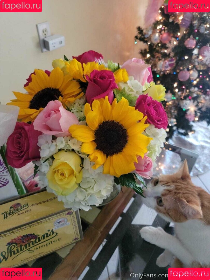 kyliecupcake Onlyfans Photo Gallery 