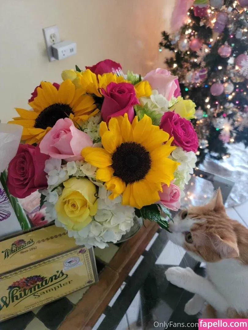 kyliecupcake Onlyfans Photo Gallery 