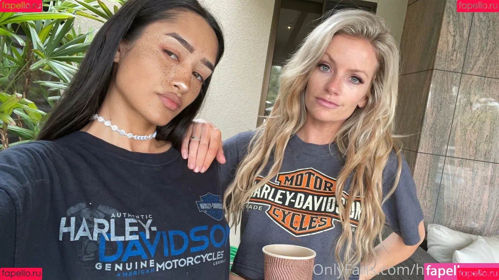 heyitscodee Onlyfans Photo Gallery 