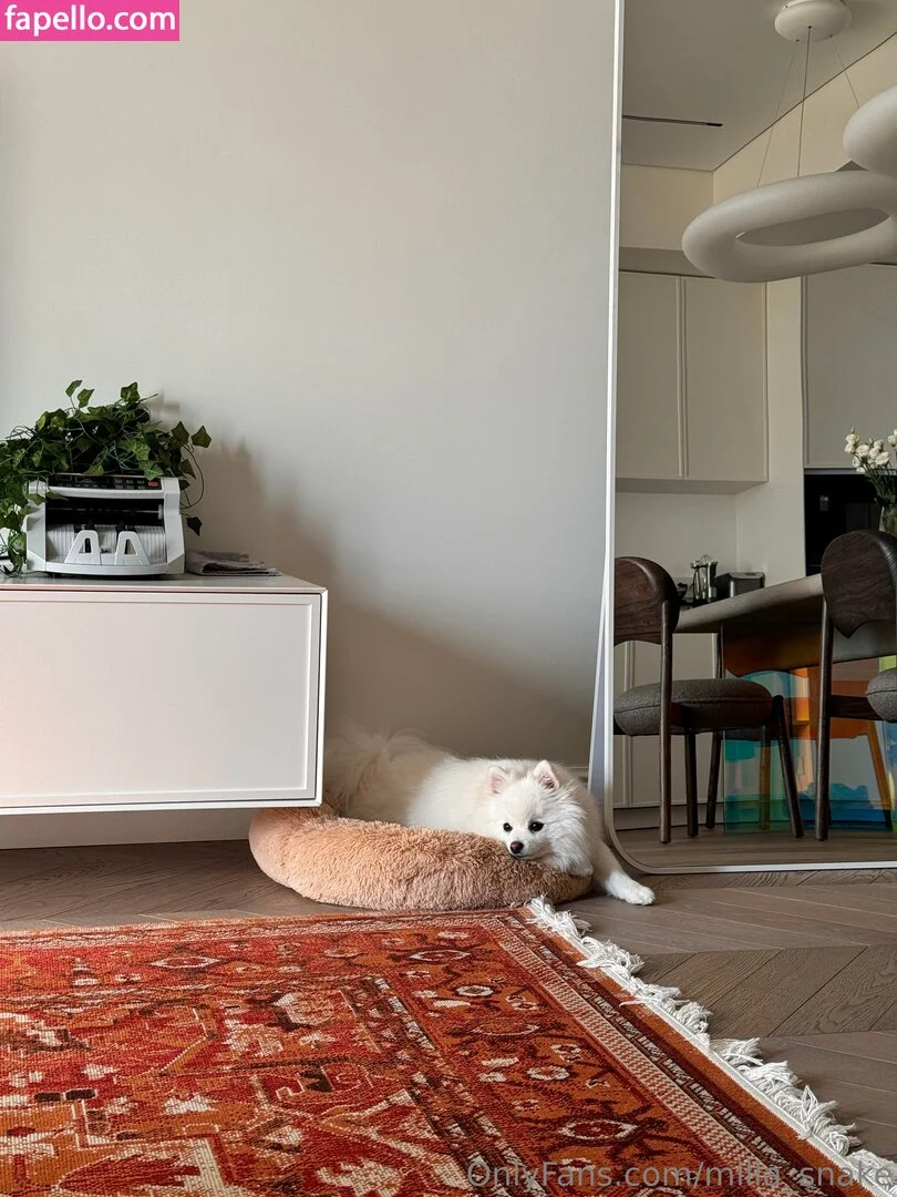 milla_snake Onlyfans Photo Gallery 