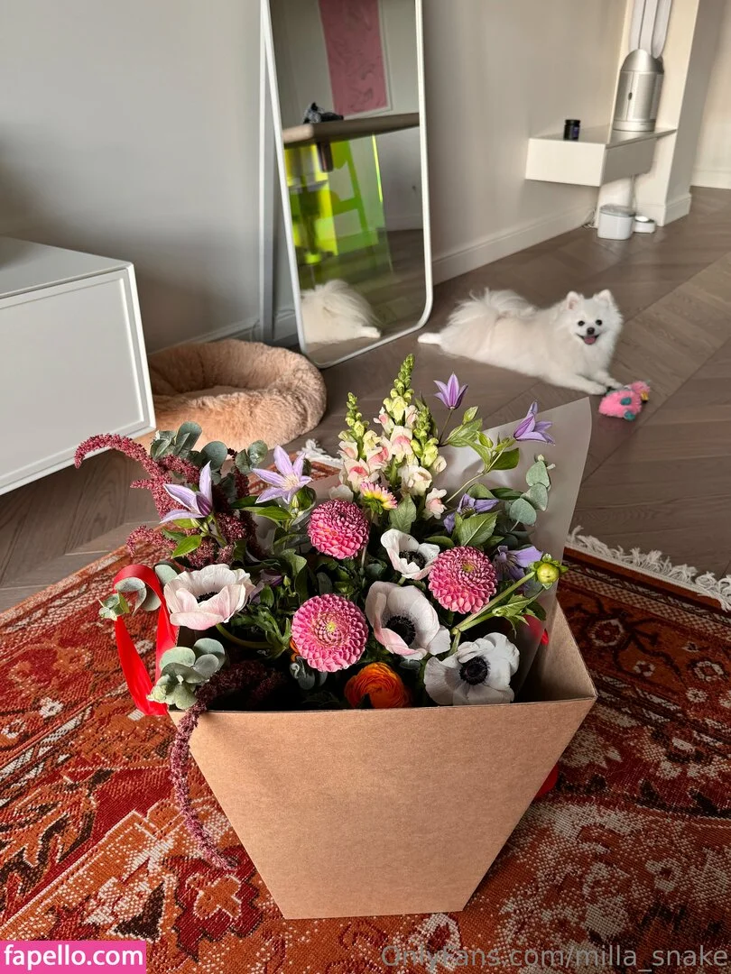 milla_snake Onlyfans Photo Gallery 