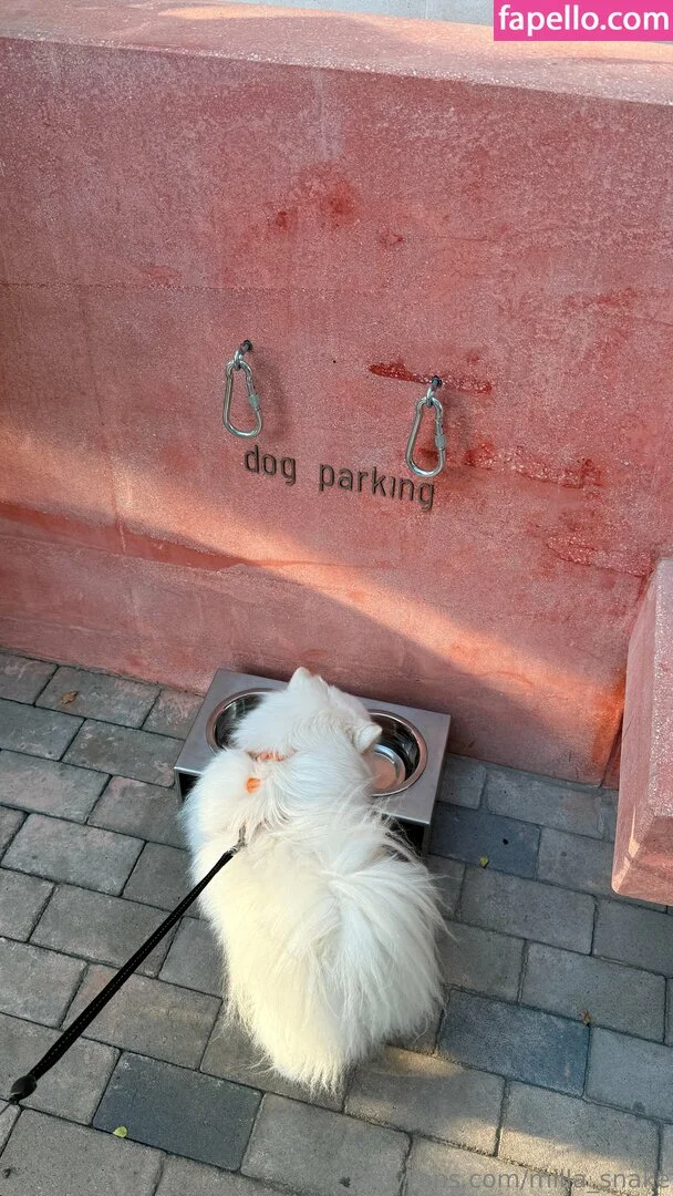 milla_snake Onlyfans Photo Gallery 