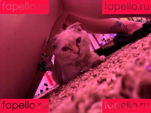 Aniexjoy Onlyfans Photo Gallery 