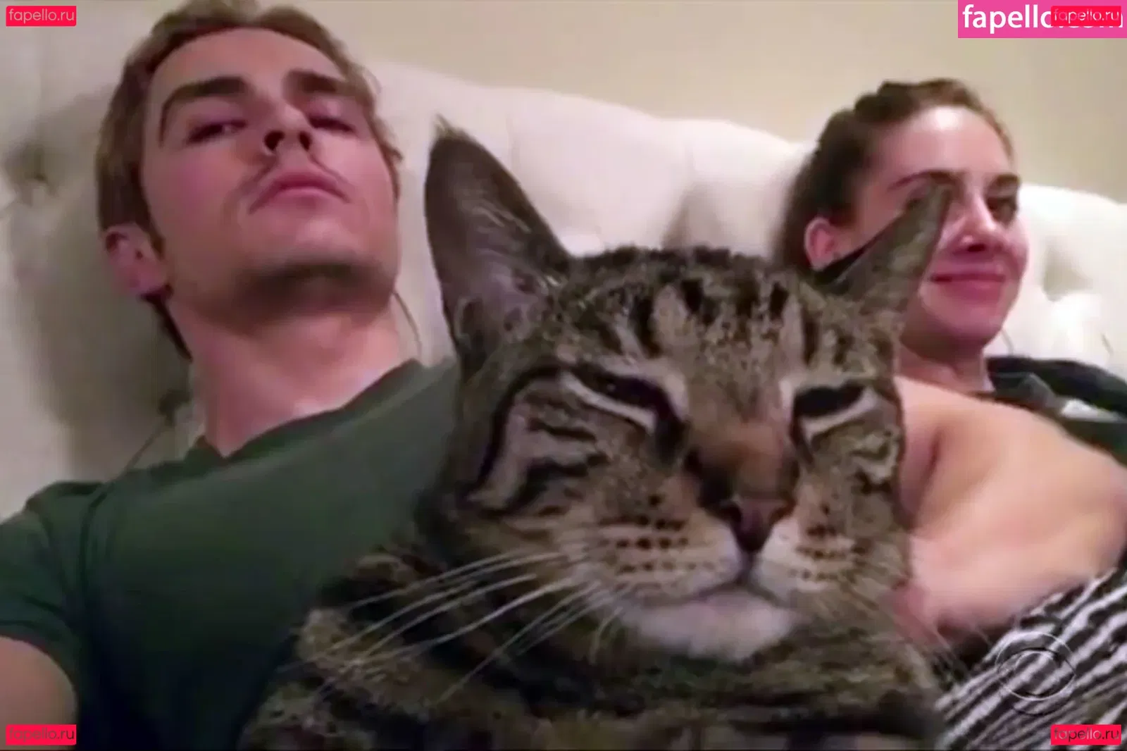 Alison Brie Onlyfans Photo Gallery 