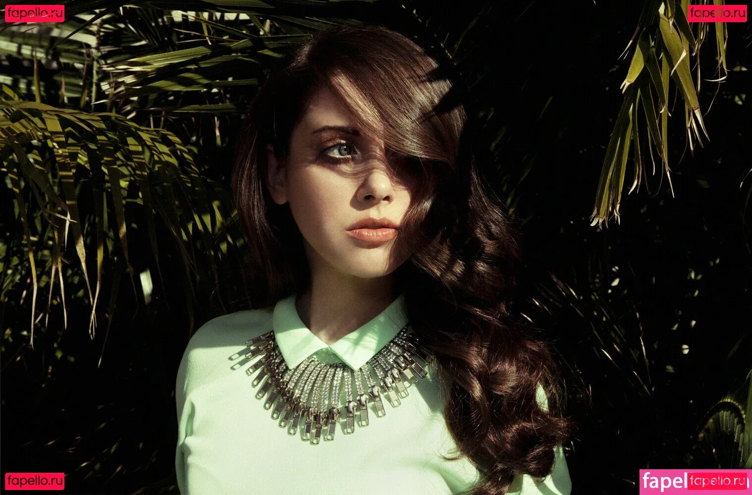 Alison Brie Onlyfans Photo Gallery 