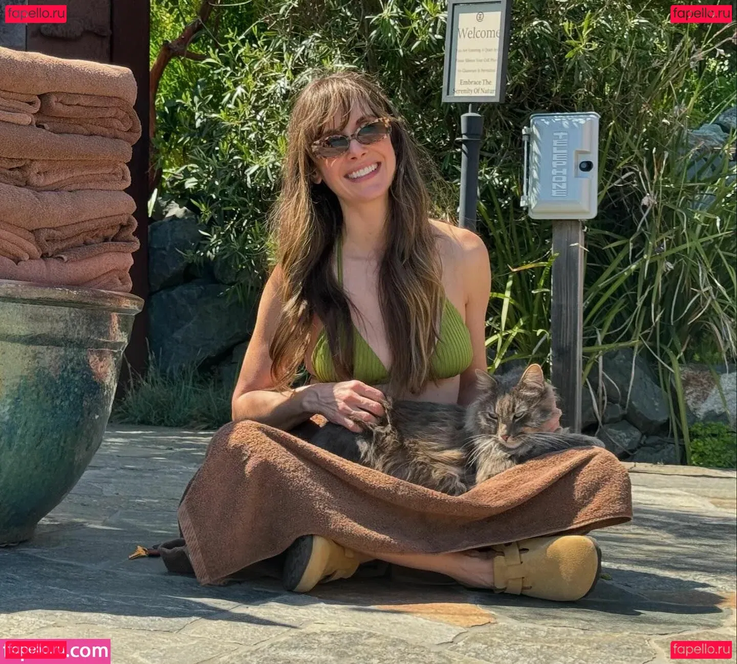 Alison Brie Onlyfans Photo Gallery 