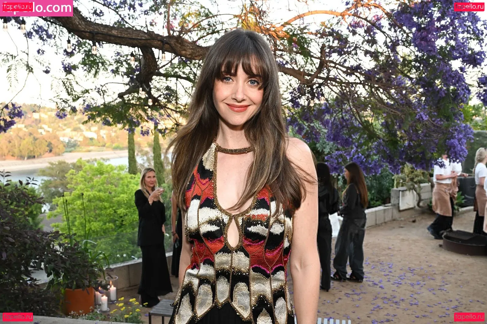 Alison Brie Onlyfans Photo Gallery 