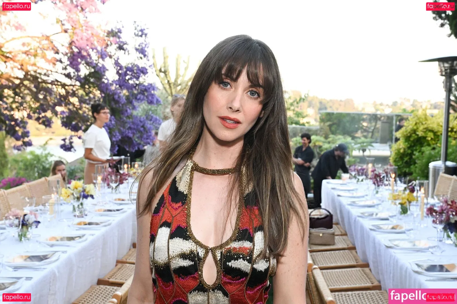 Alison Brie Onlyfans Photo Gallery 