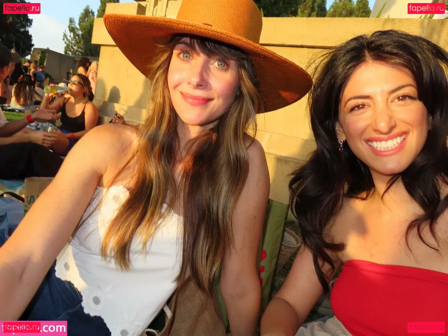 Alison Brie Onlyfans Photo Gallery 