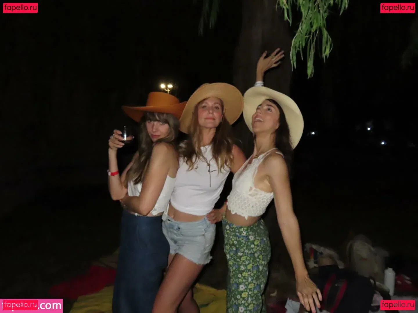 Alison Brie Onlyfans Photo Gallery 