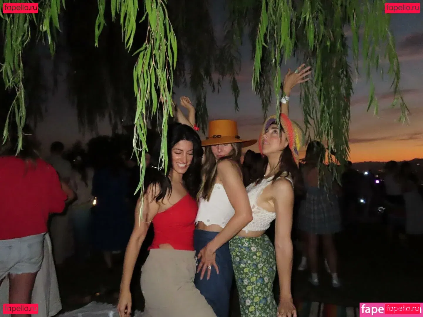 Alison Brie Onlyfans Photo Gallery 