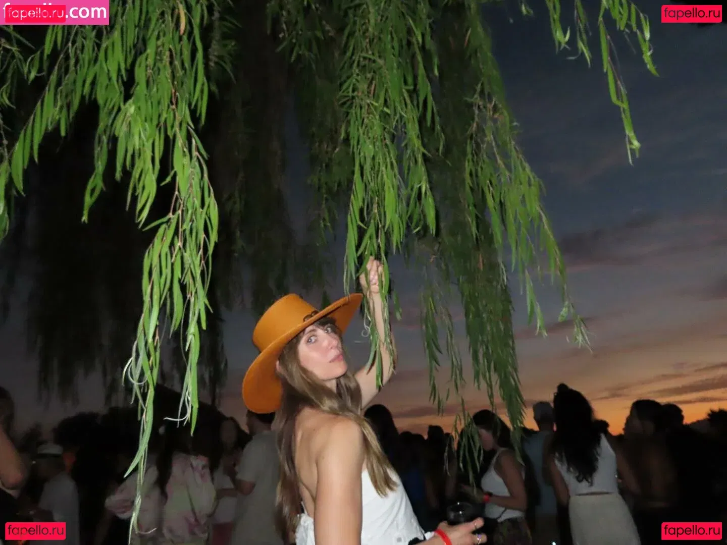 Alison Brie Onlyfans Photo Gallery 