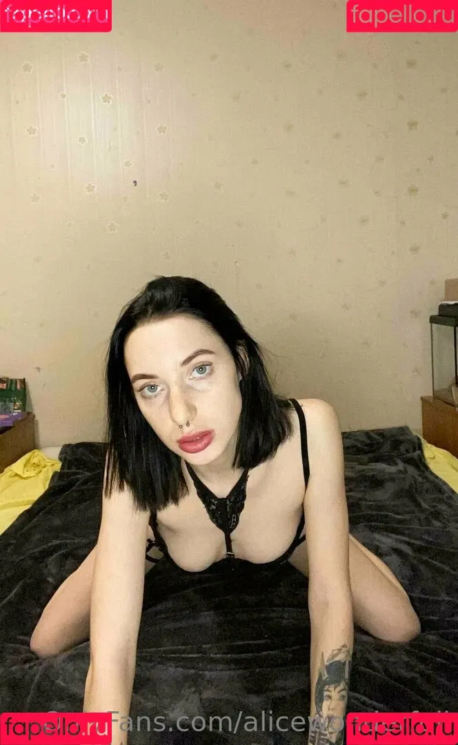 alicewonderfull Onlyfans Photo Gallery 