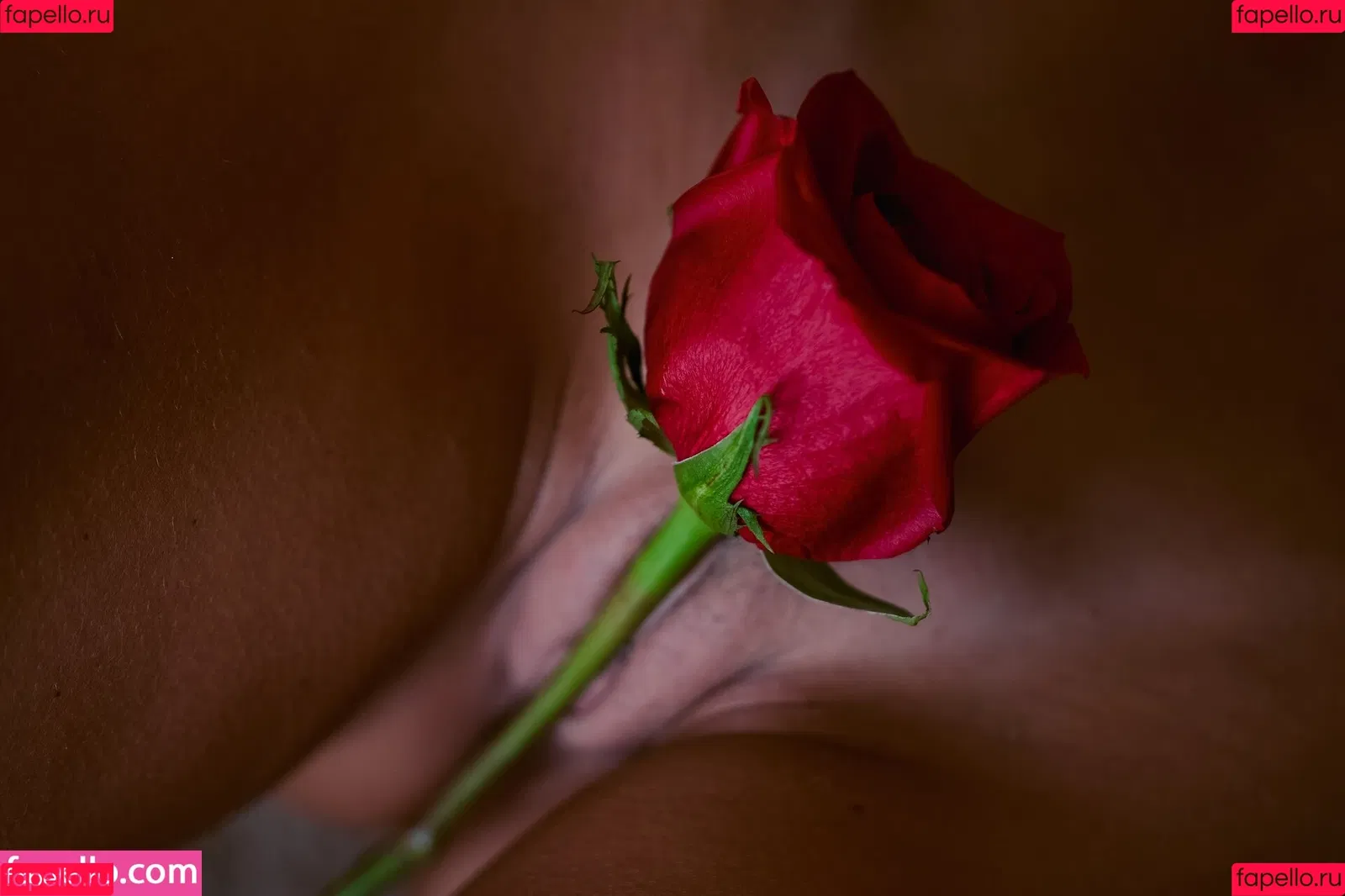Zuri Aspiunza Onlyfans Photo Gallery 