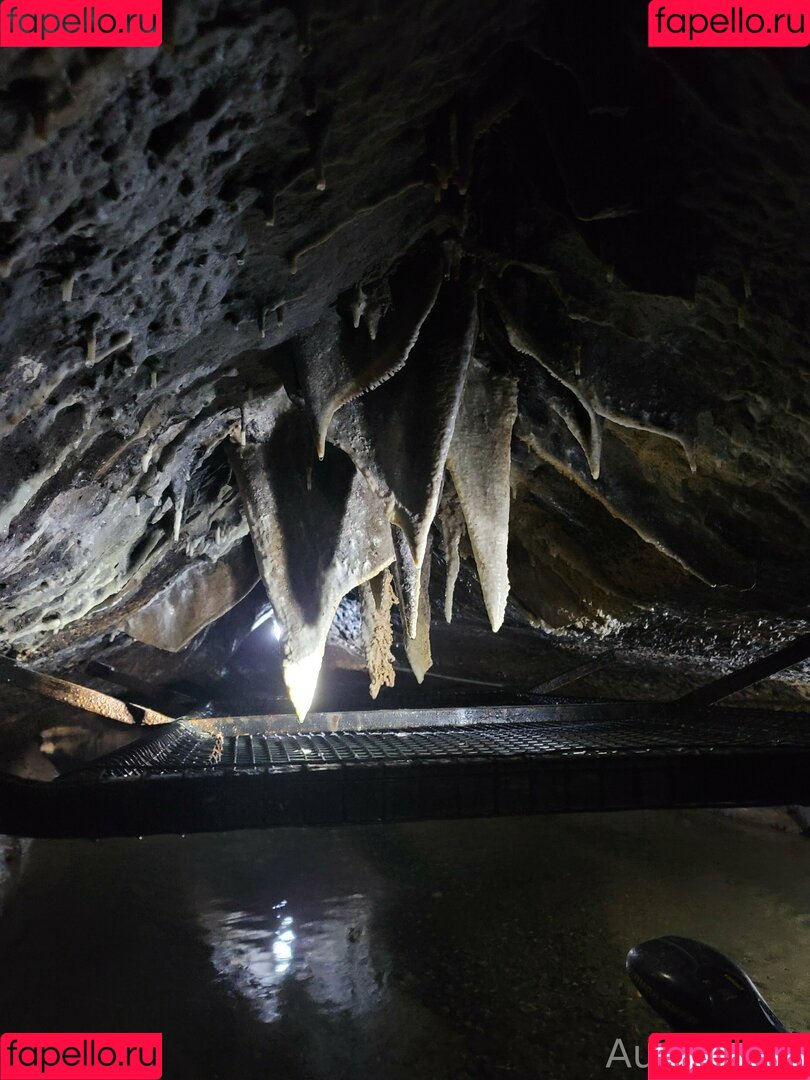 sunflowerseedling Onlyfans Photo Gallery 