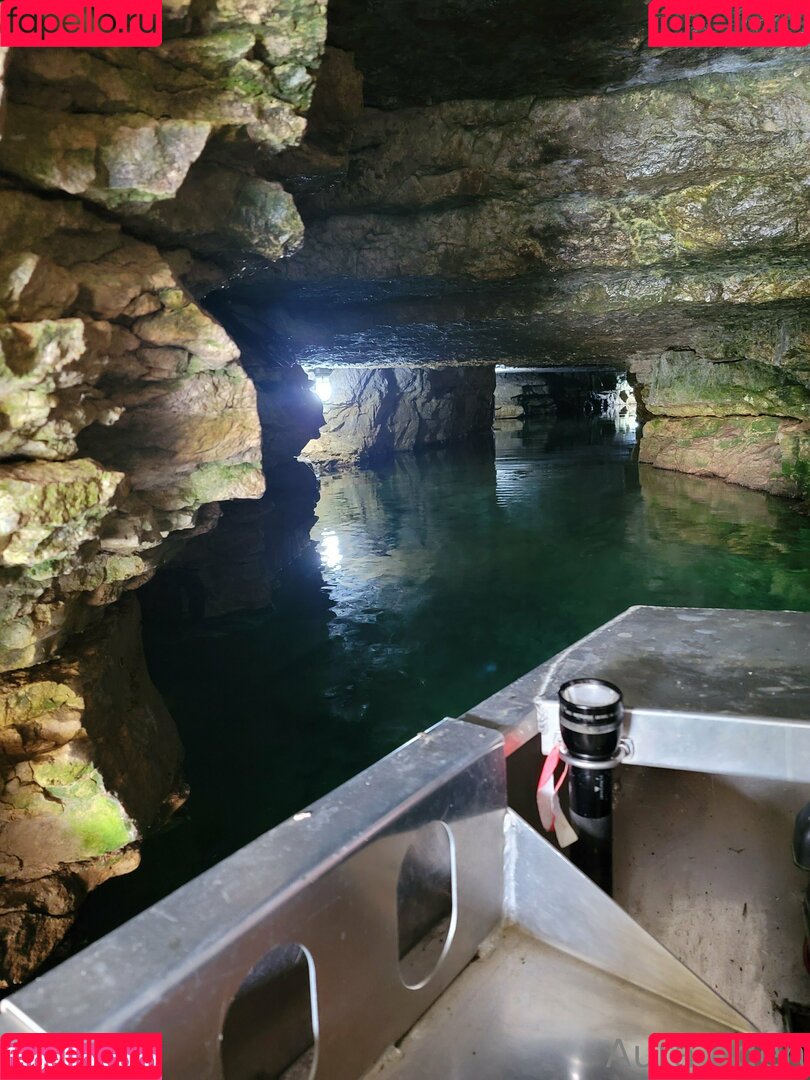 sunflowerseedling Onlyfans Photo Gallery 