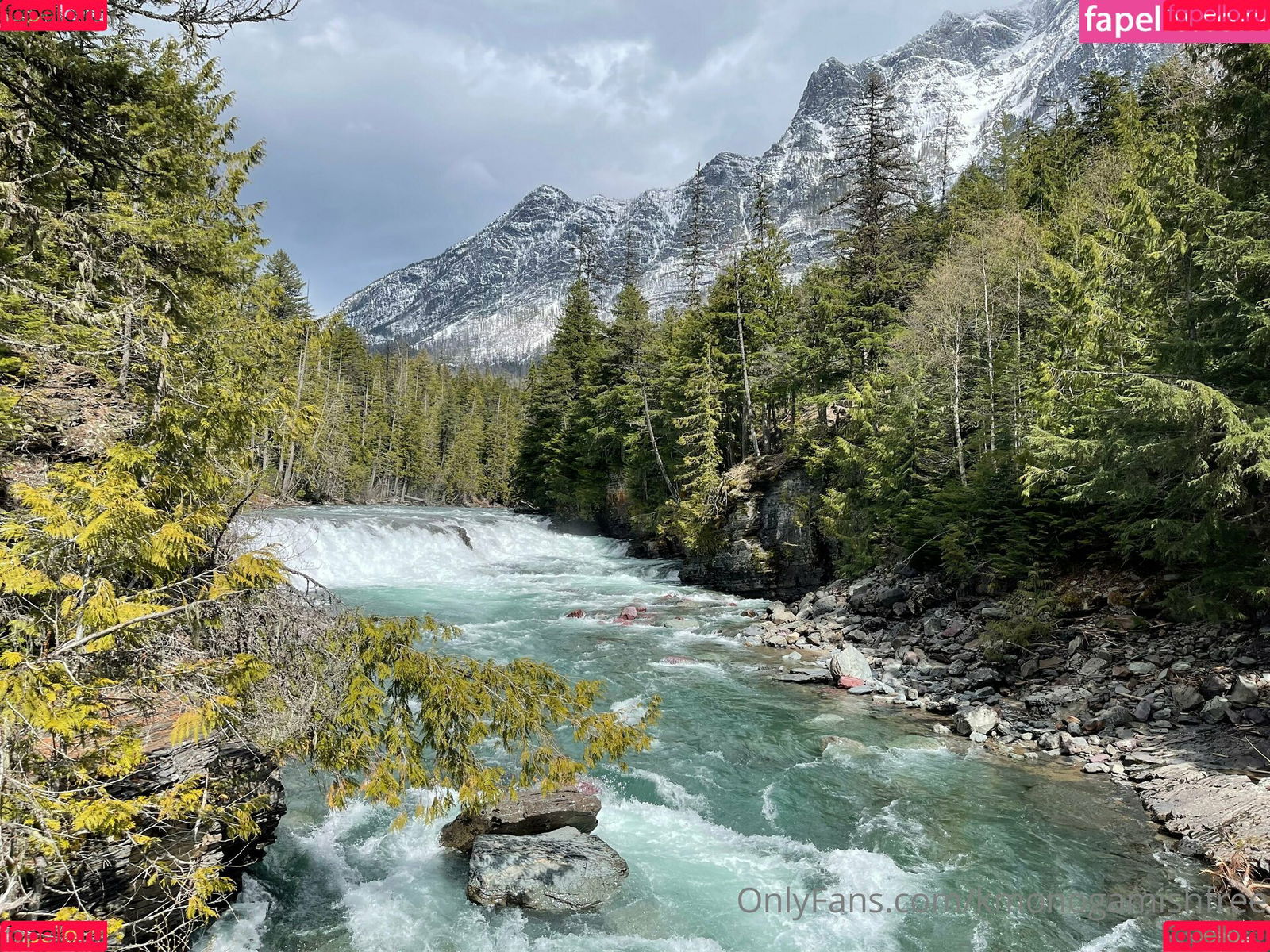 kmonogamishfree Onlyfans Photo Gallery 