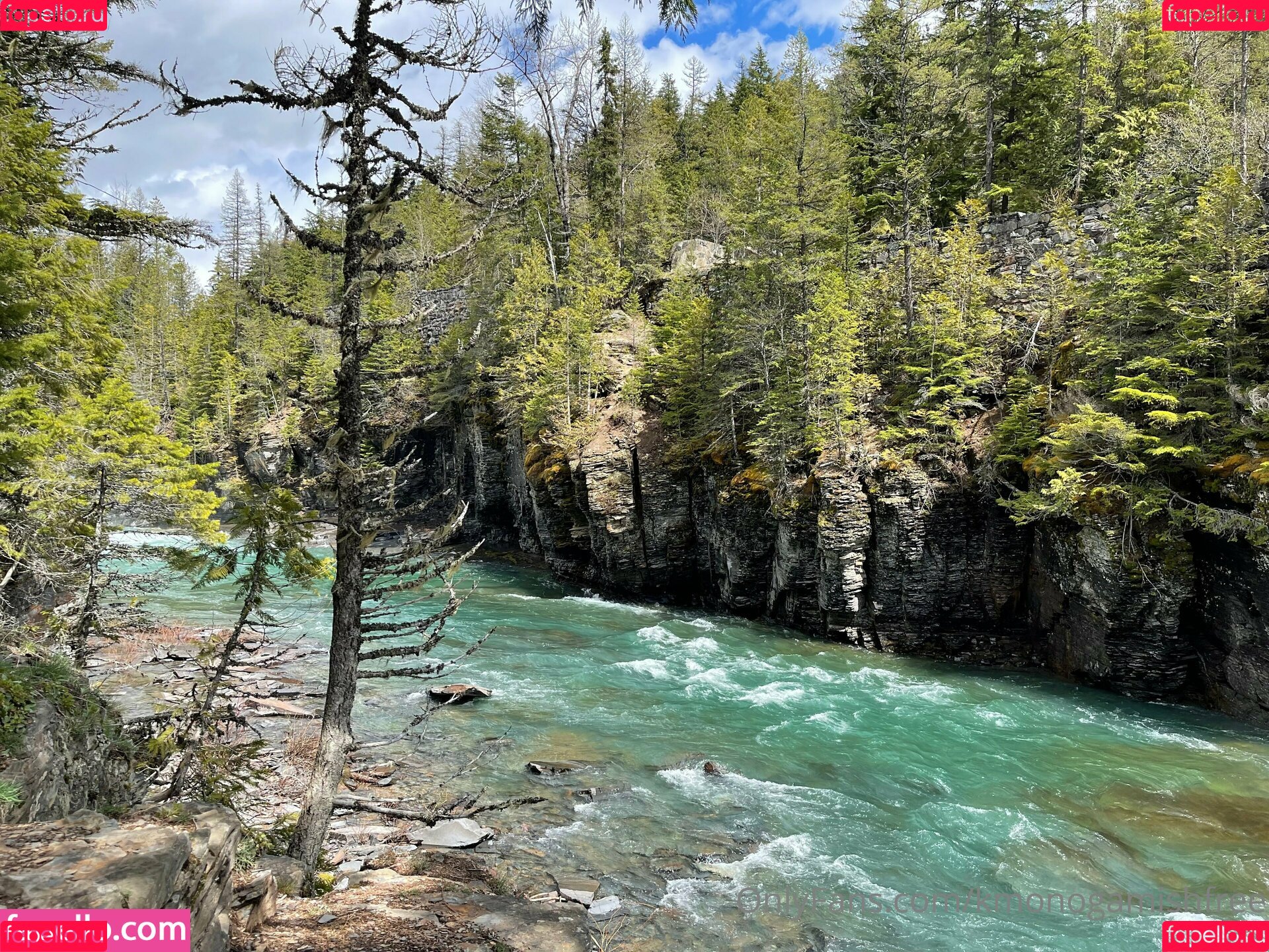 kmonogamishfree Onlyfans Photo Gallery 