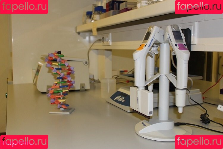 Brenda Trindade Onlyfans Photo Gallery 