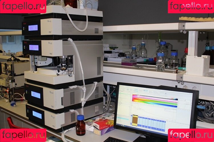 Brenda Trindade Onlyfans Photo Gallery 