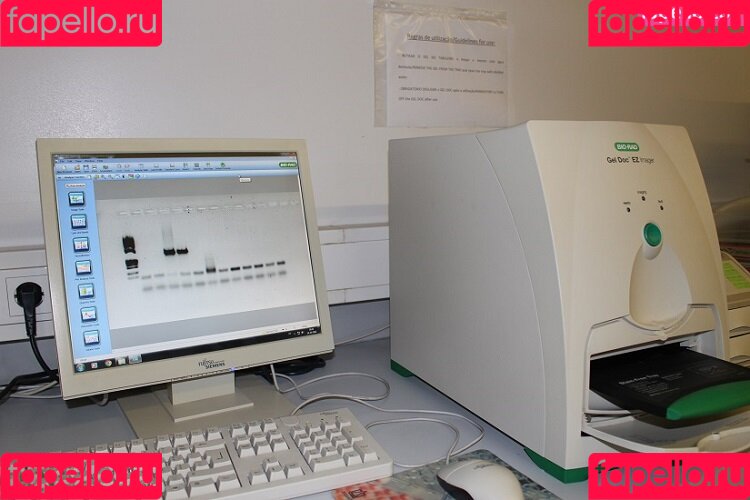 Brenda Trindade Onlyfans Photo Gallery 