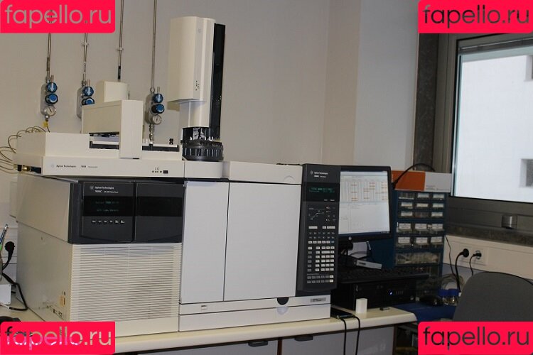 Brenda Trindade Onlyfans Photo Gallery 