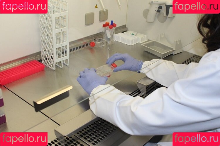 Brenda Trindade Onlyfans Photo Gallery 