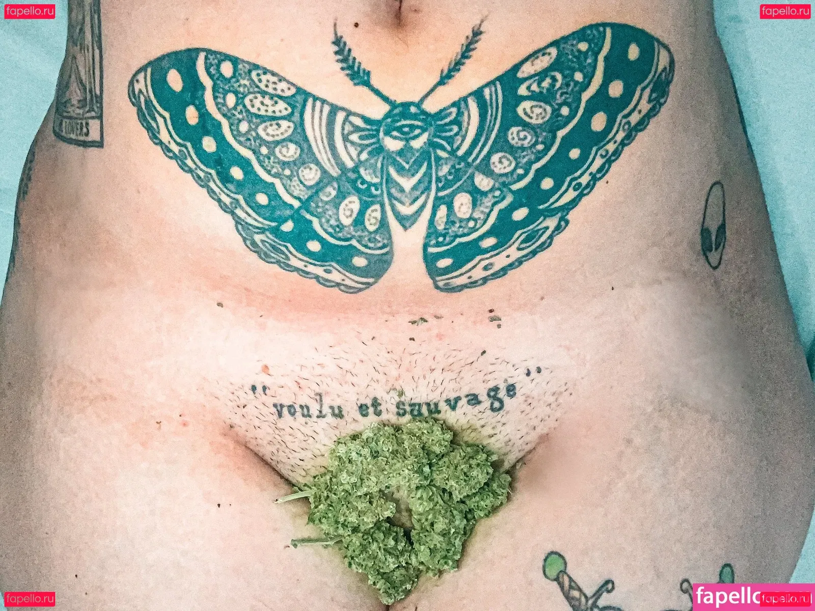 Lifeaspimenta Onlyfans Photo Gallery 