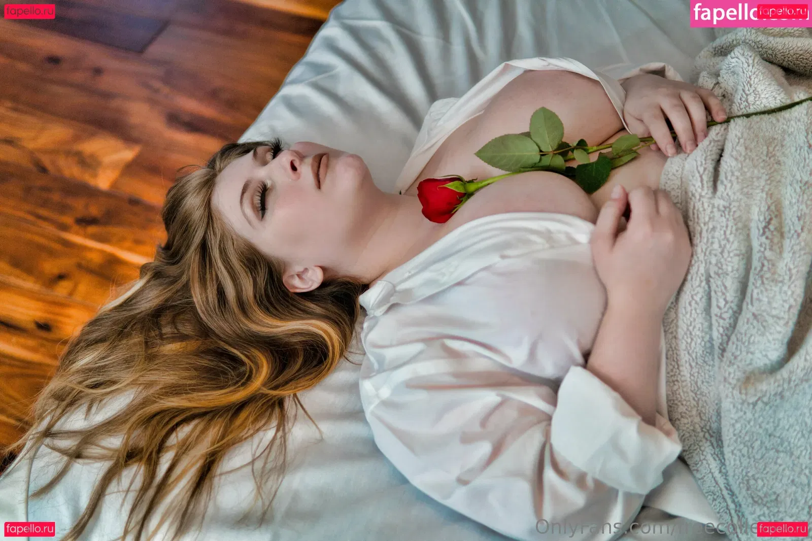 freecollection Onlyfans Photo Gallery 