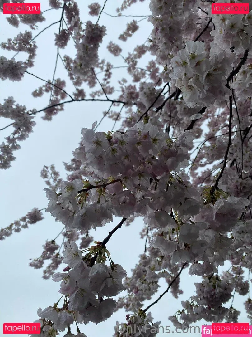 karlibra Onlyfans Photo Gallery 