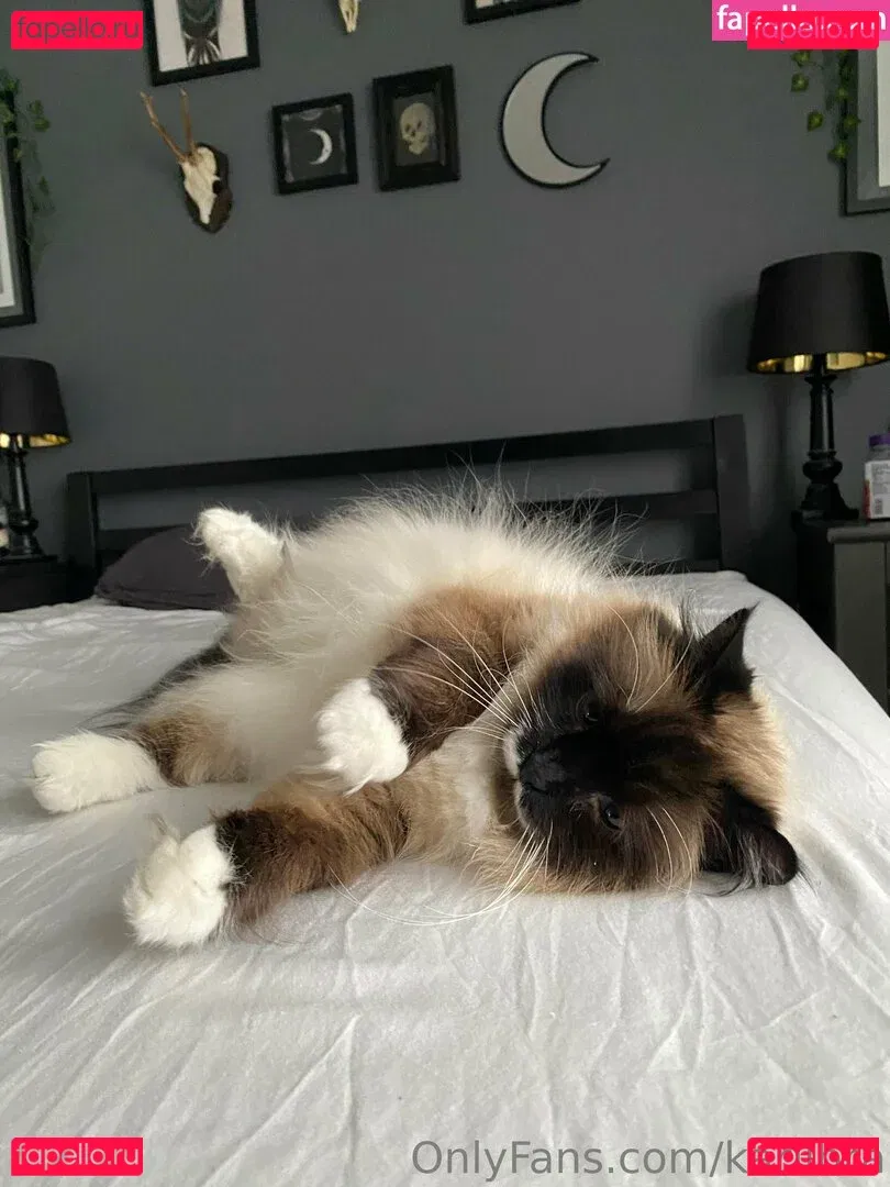 karlibra Onlyfans Photo Gallery 