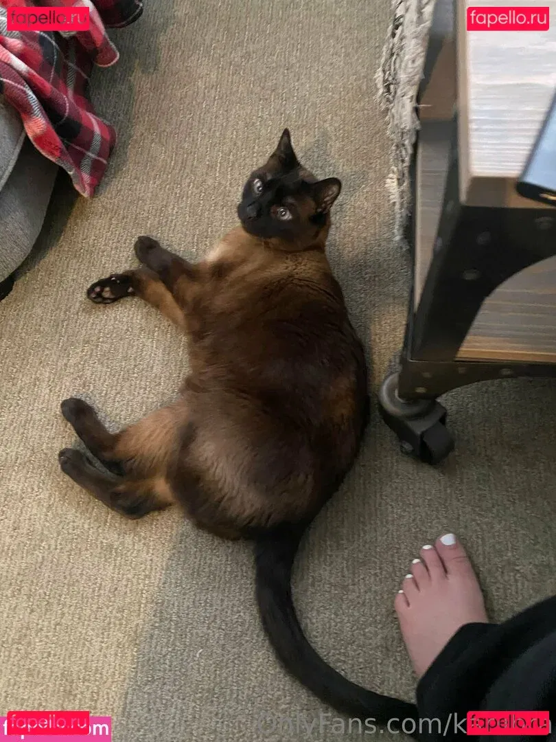 karlibra Onlyfans Photo Gallery 